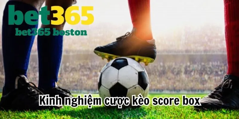 Chia sẻ mẹo cược kèo Score Box hiệu quả dễ thắng nhất