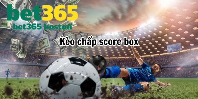 Dạy bạn cách tính kèo Score Box chuẩn xác nhất hiện nay